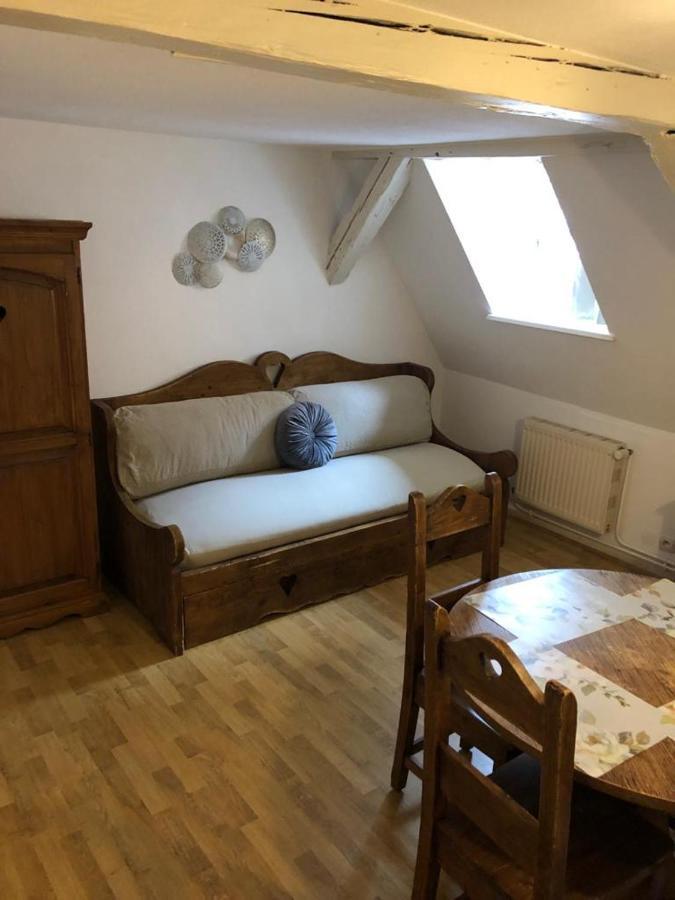 Les Appartements Du Koifhus Кольмар Экстерьер фото